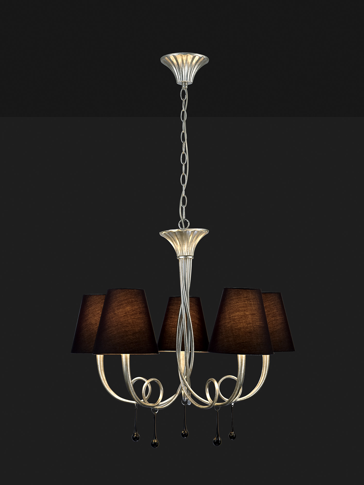 Paola Silver-Black Ceiling Lights Mantra Multi Arm Fittings